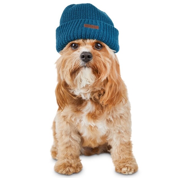 Reddy Dog Knit Beanie Hat Teal Blue Green Pet Winter Fall Accessories Puppy